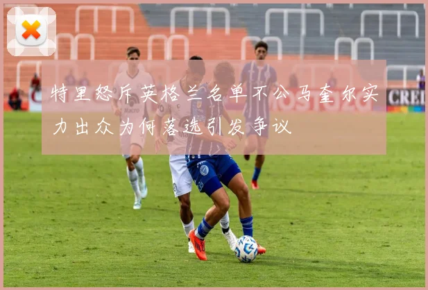 特里怒斥英格兰名单不公马奎尔实力出众为何落选引发争议